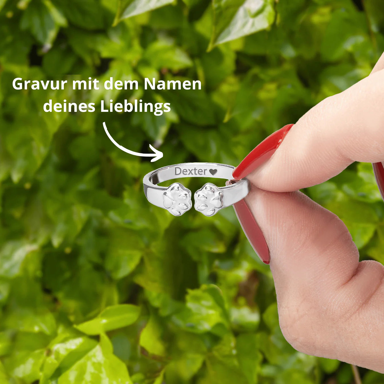 Ring „Pfotenliebe